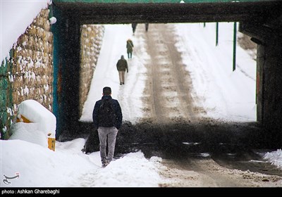 بارش برف در زنجان