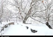 بارش سنگین برف اراک را سفیدپوش کرد+فیلم