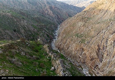  رودخانه زهره از استان‌هاي فارس و كهگيلويه سرچشمه مي‌گيرد و بعد از اتصال شاخه خيرآباد به خليج‌فارس منتهي مي‌شود. سد چم‌شير كه براي ساختش 230 ميليون يورو هزينه شده، از سال 73 مطرح شد و از سال 93 به صورت جدي ادامه يافت. مجوز محيط‌زيستي آن نيز در سال 1388 صادر شد.