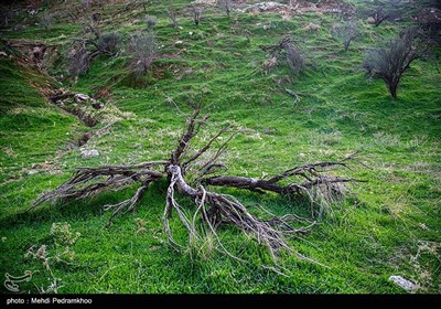 خوزستان بر لبه تیغ چم‌شیر