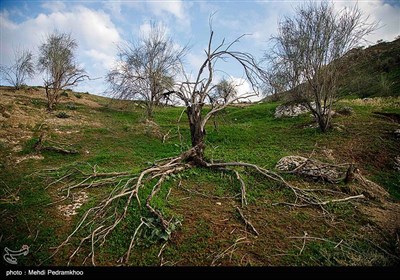 خوزستان بر لبه تیغ چم‌شیر