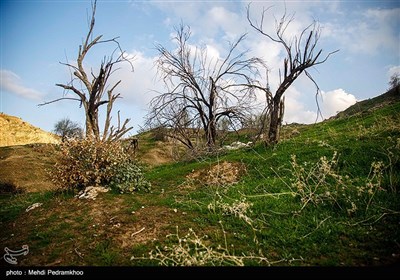 خوزستان بر لبه تیغ چم‌شیر