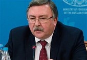 IAEA Board of Governors Urged to Avoid Politicizing Iran Case