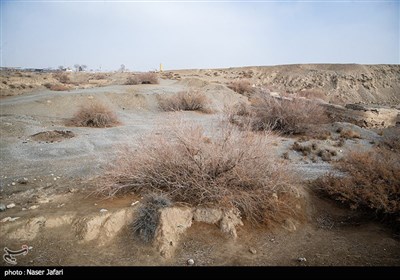 جاری نبودن زاینده رود باعث خشکسالی در شرق اصفهان شده است.