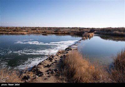 در مسیر زاینده رود