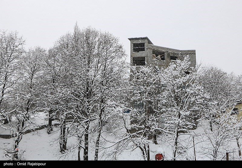هشدار هواشناسی مازندران/ بارش برف و باران از چهارشنبه آغاز می‌شود