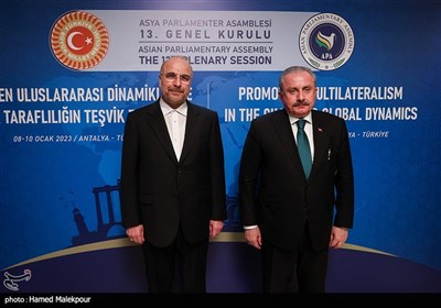 دیدار رؤسای مجلس آذربایجان و ترکیه با محمدباقر قالیباف - ترکیه