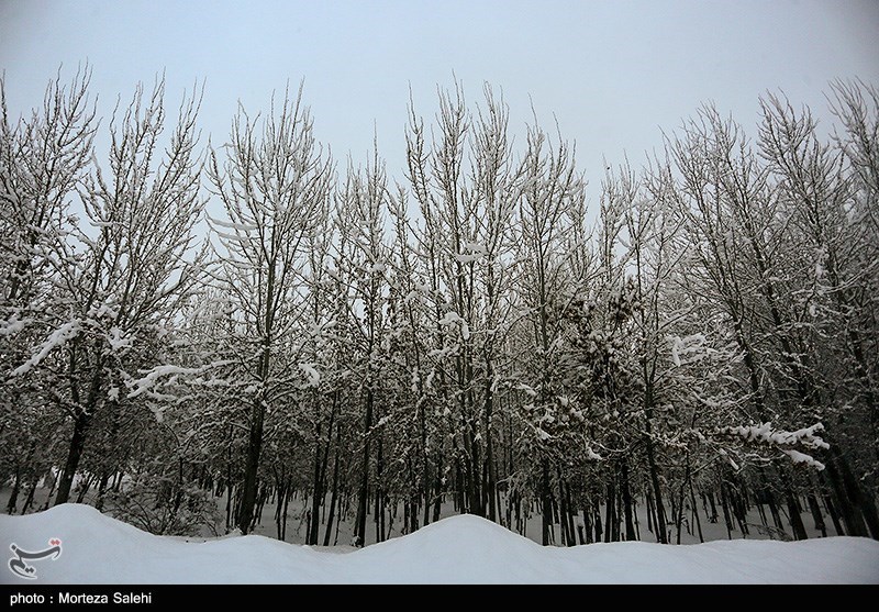بیشترین برف و باران استان فارس در اقلید و فیروزآباد بارید