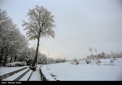 بارش برف در مبارکه اصفهان
