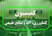 ‌رئیس کمیسیون کشاورزی مجلس: به جای واردات موز‌ از ظرفیت سیستان و بلوچستان برای تولید بهره بگیریم