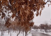 خراسان رضوی همچنان در میان سردترین استان های کشور است/ آسمان استان ابری می‌شود