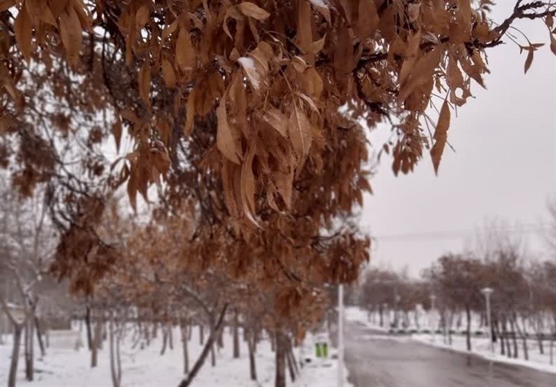 خراسان رضوی همچنان در میان سردترین استان های کشور است/ آسمان استان ابری می‌شود