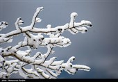 برف ارتفاعات بشاگرد را سفید پوش کرد/ بارش‌های قابل توجه در جزایر ابوموسی و سیری