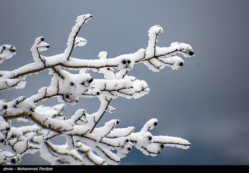 برف ارتفاعات بشاگرد را سفید پوش کرد/ بارش‌های قابل توجه در جزایر ابوموسی و سیری