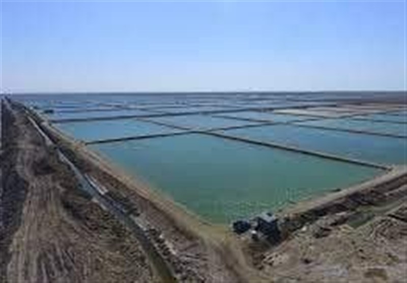 واگذاری 1800 هکتار اراضی ساحلی برای پرورش آبزیان در جنوب استان بوشهر