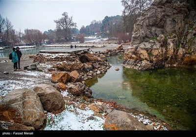 بارش برف در طاقبستان - کرمانشاه 