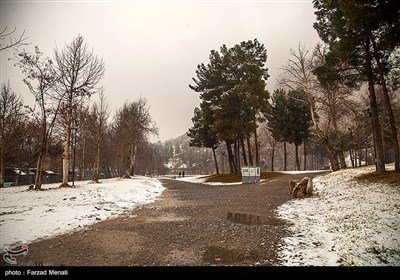 بارش برف در طاقبستان - کرمانشاه 