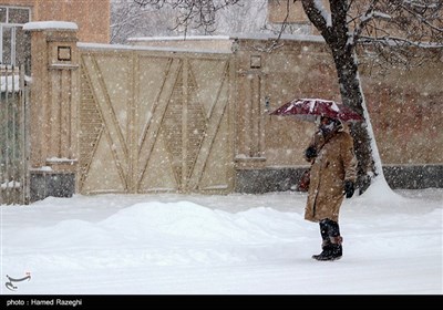 بارش برف در ابهر - زنجان 