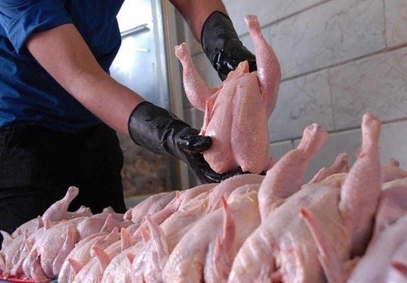 پشتیبانی امور دام: تمام نیاز مرغ صنایع فرآورده‌های گوشتی را تامین خواهیم کرد