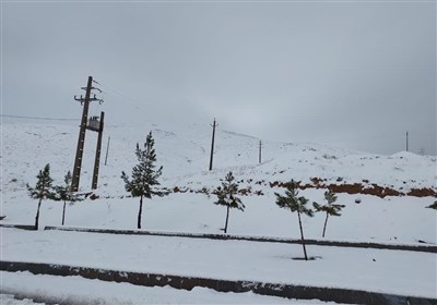 بارش برف در مناطق سردسیر و کوهستانی استان کرمانشاه