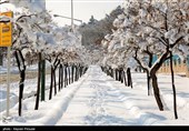توصیه‌های اورژانس تهران برای پیاده‌روی و رانندگی در روزهای برفی