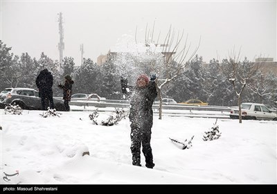 تهران برفی