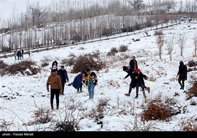 تفریحات برفی در کرمانشاه