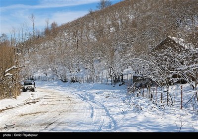 بارش برف در رحیم آباد گیلان