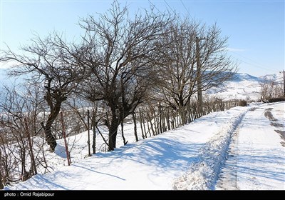 بارش برف در رحیم آباد گیلان