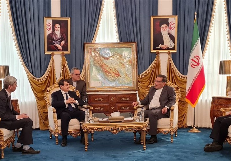 Iran, Russia Should Complement Each Other in Energy Market: Shamkhani