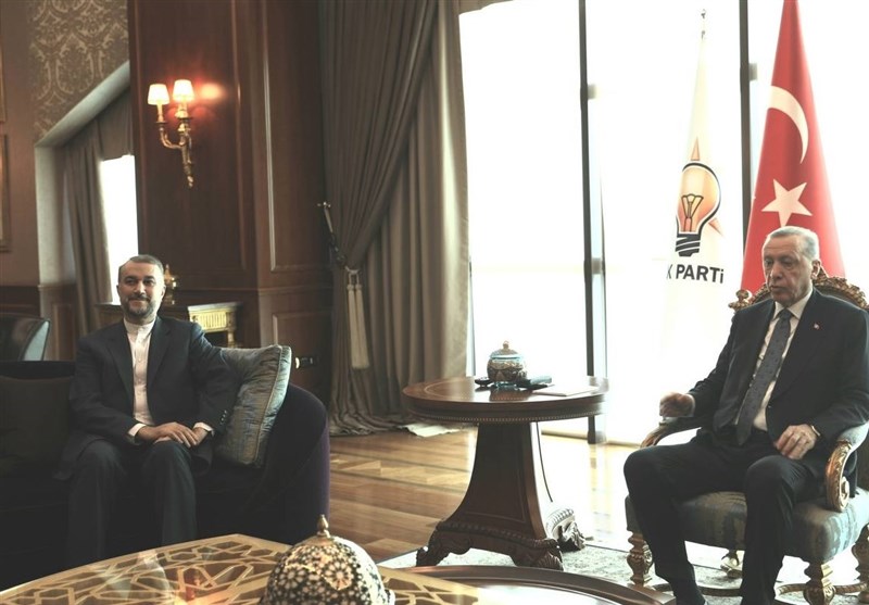امیرعبداللهیان با اردوغان دیدار و گفتگو کرد