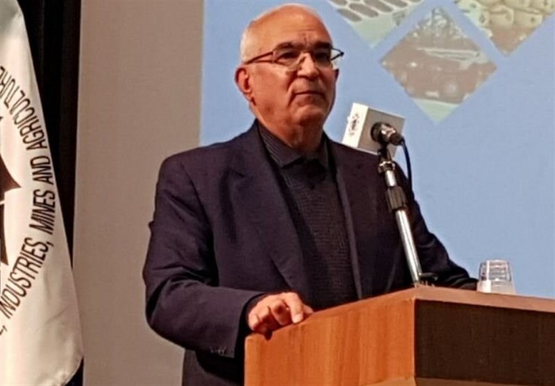 مصری: حمایتی از بخش خصوصی نمیشود