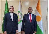 ملاقات باقری با وزیر امور خارجه نیجر