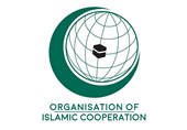لایحه عضویت ایران در سازمان توسعه زنان عضو OIC به مجلس رفت