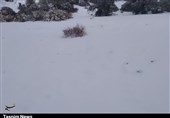 بارش 1.17 ‌متری برف در روستای «فرسش» لرستان/ منطقه در محاصرف برف قرار گرفت + فیلم