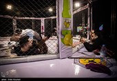 نخستین دوره مسابقات مبارزه در قفس کشور