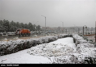 بارش برف در کرمان