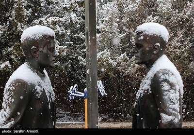 بارش برف در کرمان