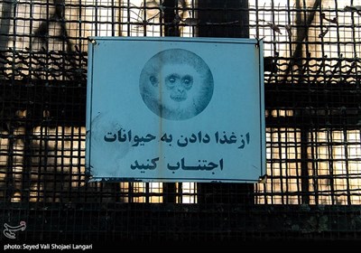 باغ وحش طاهرده ساری