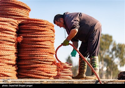 صید ماهی استخوانی