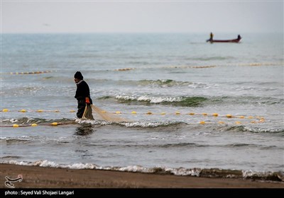 صید ماهی استخوانی