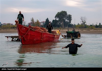 صید ماهی استخوانی