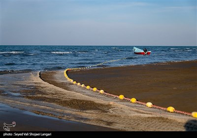 صید ماهی استخوانی