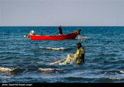 صید ماهی استخوانی