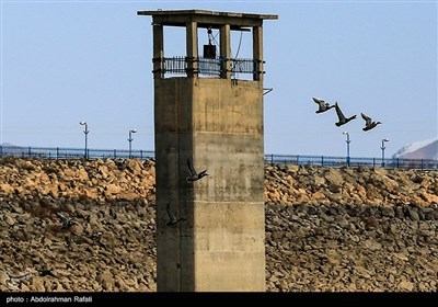 طبیعت زمستانی تالاب آبشینه همدان