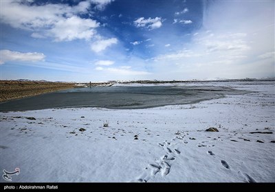 طبیعت زمستانی تالاب آبشینه همدان