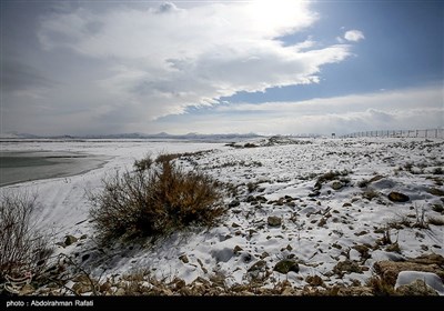 طبیعت زمستانی تالاب آبشینه همدان