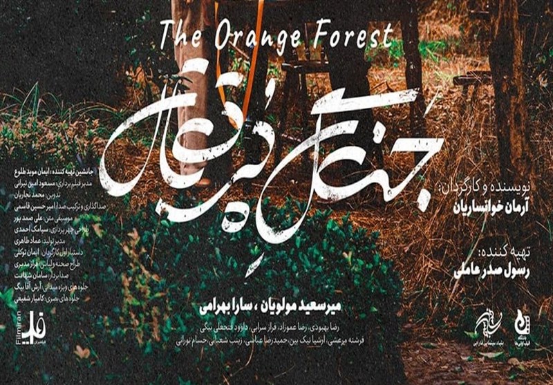 استقبال شیرازی‌ها از اکران فیلم‌های سرهنگ ثریا و عطر آلود