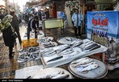 فروش 51 میلیون تومانی یک قطعه ماهی در بازار فریدونکنار + فیلم