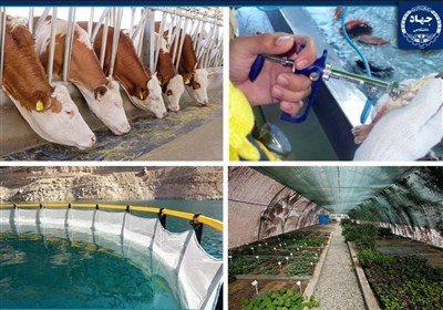 گام‌های مؤثر جهاد دانشگاهی در تأمین امنیت غذایی؛ از اصلاح نژاد دام تا پرورش ماهی در قفس و فناوری تولید بذر هیبرید 
